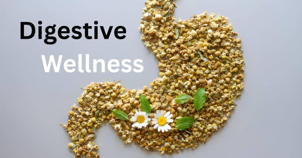 Digestive Wellness in Ottawa