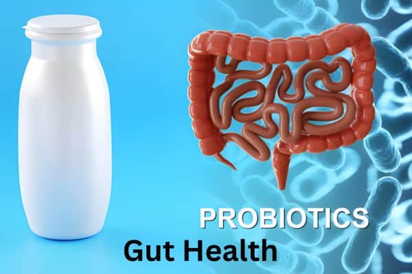 The Power of Probiotics for Gut Health