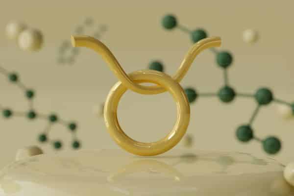 The “Lock and Key” Analogy