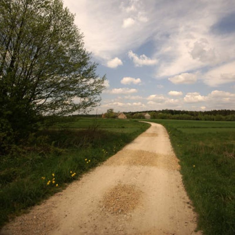 Prescription Delivery Services Meadowlands - Whole Health Glebe