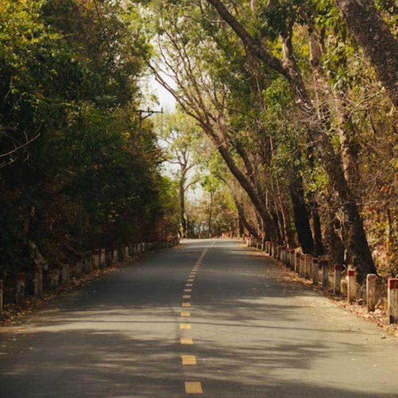 Rockcliffe Park road