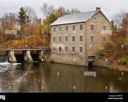 Specialized Pharmacy Services | Manotick & Greely Delivery